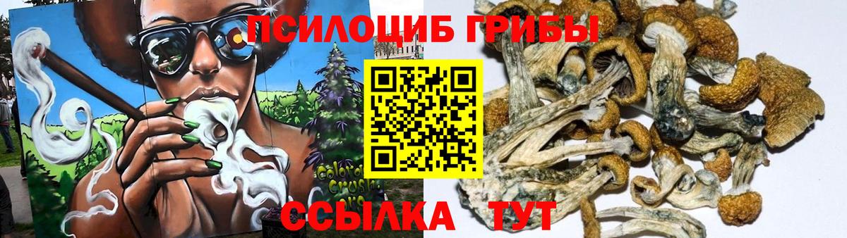 Псилоцибиновые грибы Донецк
